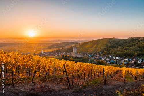 Levé de soleil sur le vignoble en Alsace France
