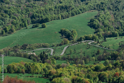 A winding road among fields and forests  Bieszczady Mountains  Poland