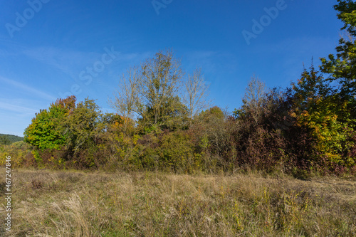 Landschaft im Herbst