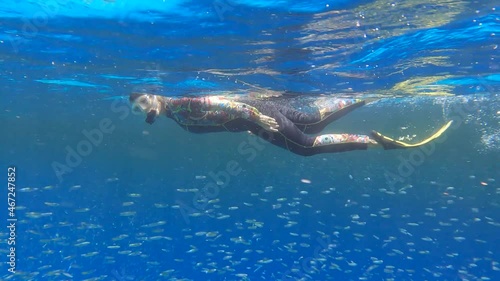 Woman swims and looking at on school of small fishes feeds under surface of water near coral reef. Visually distinguishable plankton-rich water layer (rarely seen phenomenon)  photo
