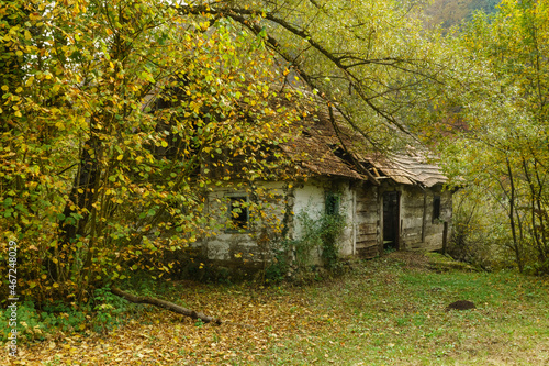 Jesień stara chata w lesie photo