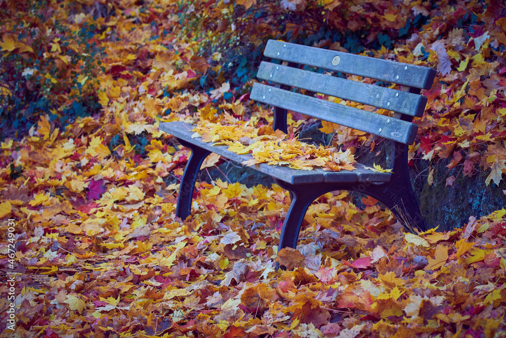Park bench covered with leaves in Furth Germany during autumn season. Park bench covered with leaves in Furth Germany during autumn season.