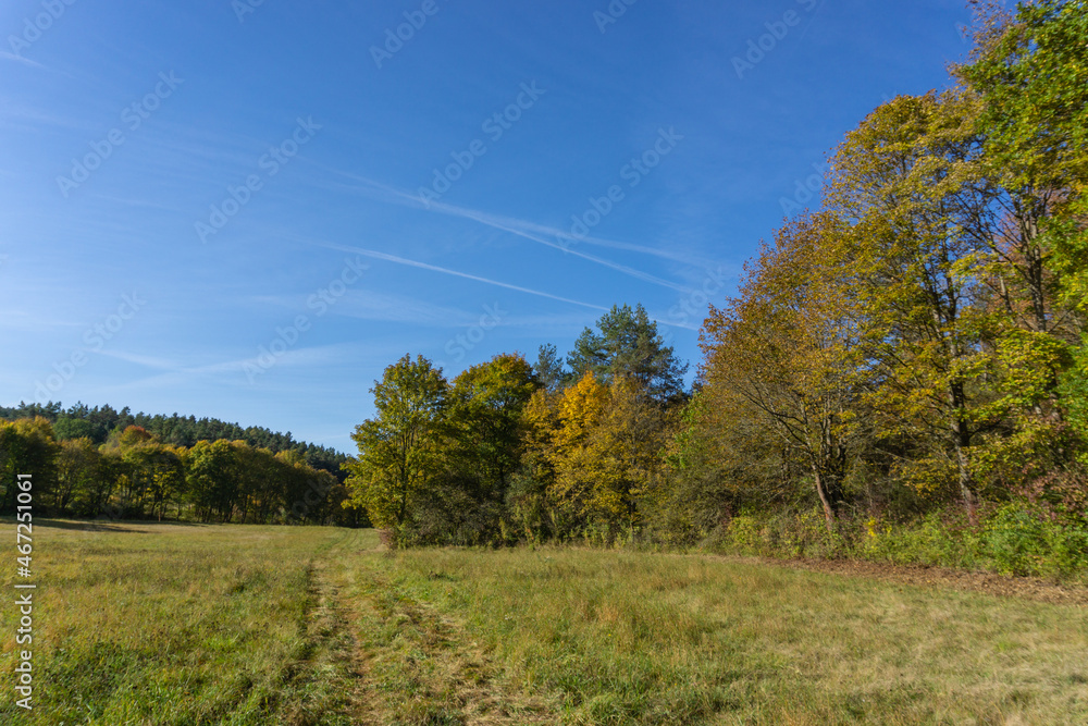 Fototapeta premium Landschaft im Herbst
