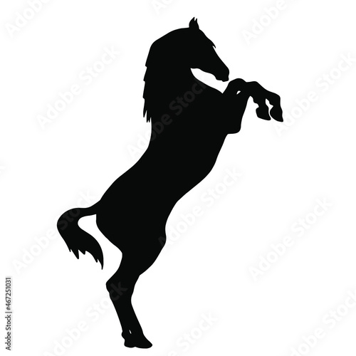Icon of horse silhouette. Black vector illustration of mustang stallion