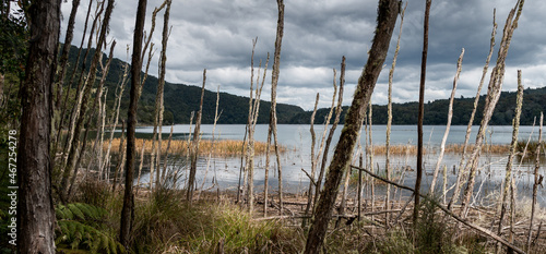 Lake Okataina on the North Island of New Zealand photo