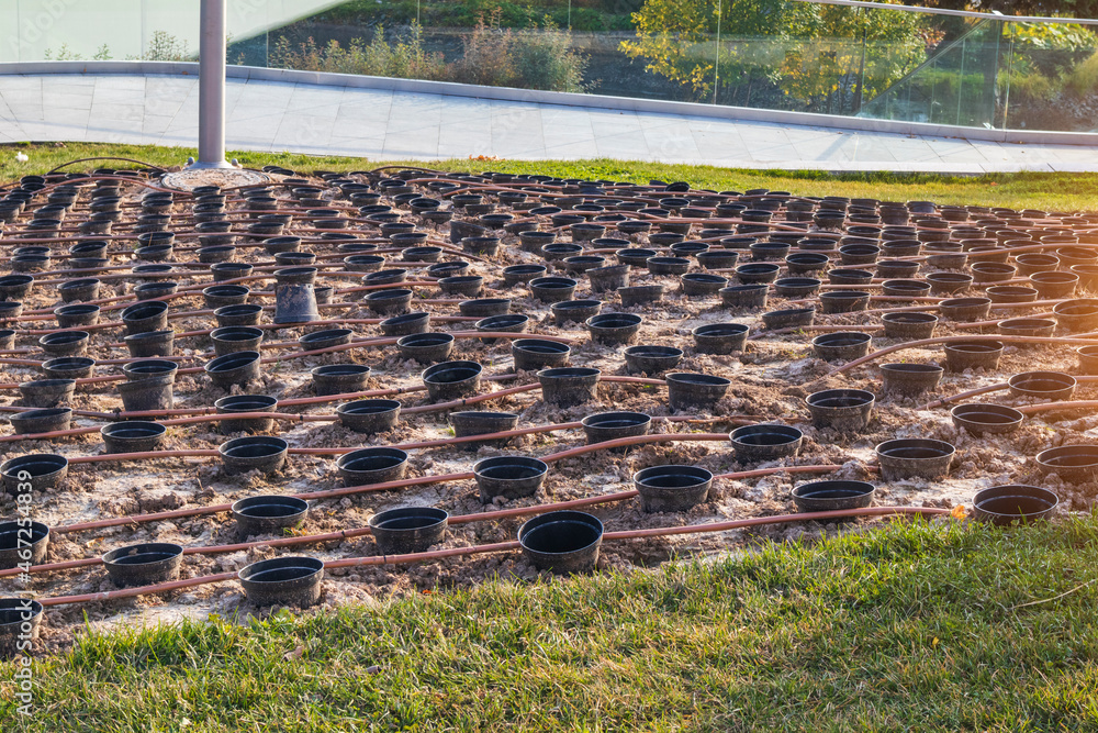Fototapeta premium cultivation of plants and trees bushes arboretum irrigation system