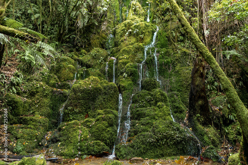 Te Auheke cascade track North island, New Zealand photo