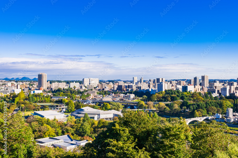 Fototapeta premium 仙台 青空と都市風景