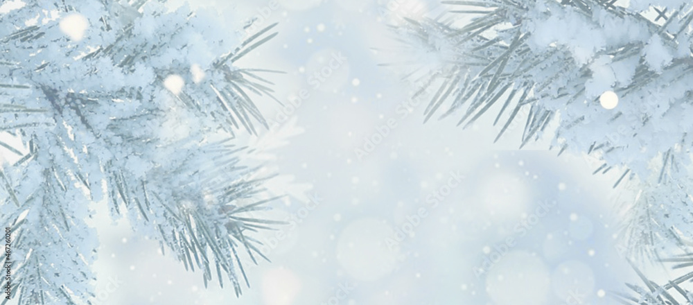 Blurred Christmas winter background. Spruce snow covered branches and falling snow. Copy space.