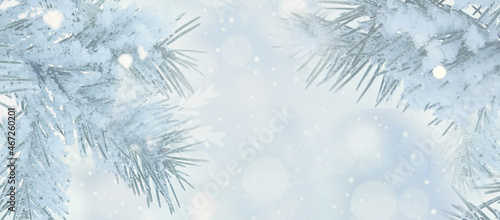 Blurred Christmas winter background. Spruce snow covered branches and falling snow. Copy space. © Tetiana