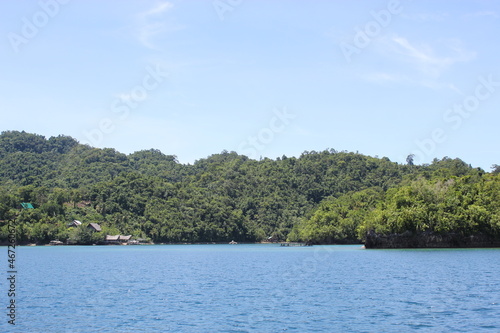 Beautiful lake and trees on island