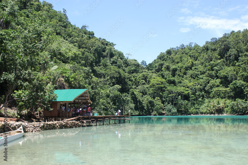 tropical resort on the lake