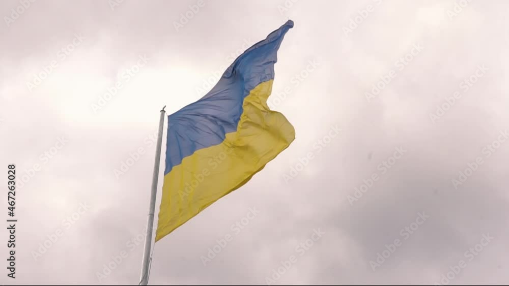 Ukraine looping flag waving in the wind Stock Video | Adobe Stock