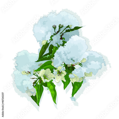 Vector illustration of a blooming pear branch under the snow, isolated image on a white background. EPS 10 © Юяшка