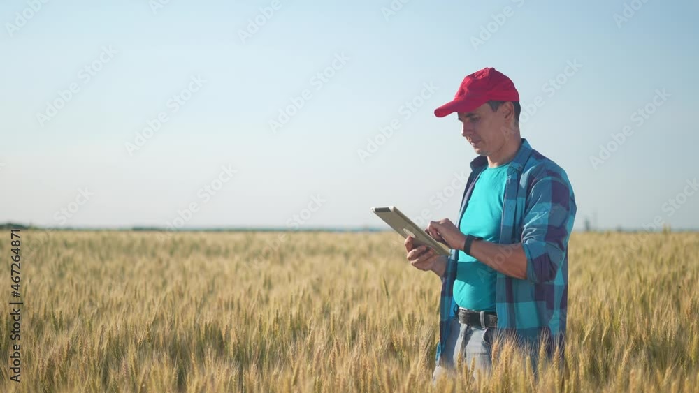 farmer. man farmer working in tablet the field wheat inspects the crop wheat germ natural a farming. business agriculture harvesting concept. farmer sun work wheat crop germ agriculture. farmer. man farmer working in tablet the field wheat inspects the crop wheat germ natural a farming. business agriculture harvesting concept. farmer sun work wheat crop germ agriculture.