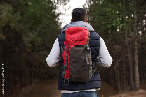 Man with backpack walking in forest, back view