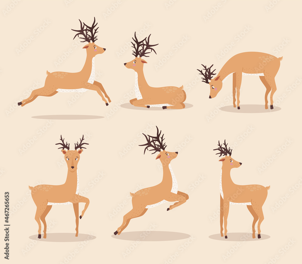 six reindeer animals group six reindeer animals group