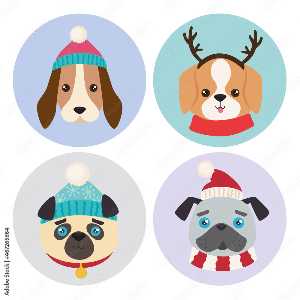 Obraz premium four cute christmas dogs