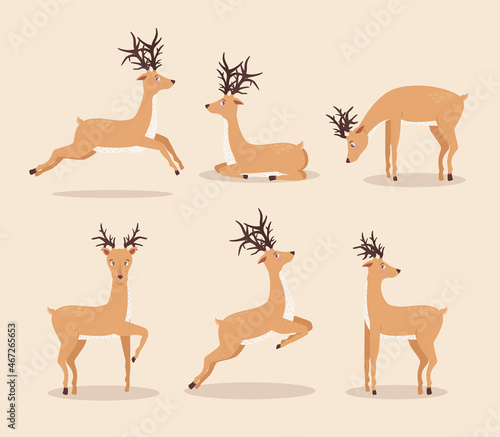 six reindeer animals group