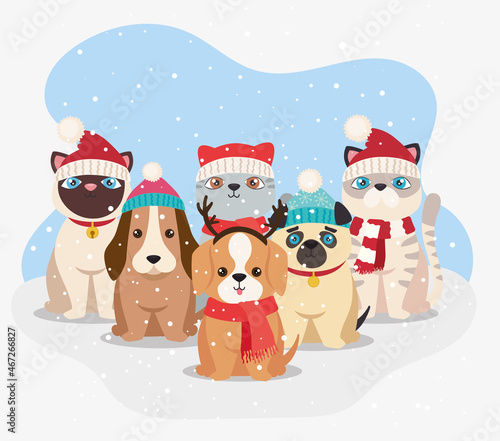 cute six christmas pets