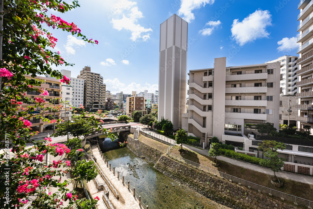 Fototapeta premium 沖縄那覇安里川親水庭園とブーゲンビイアの花