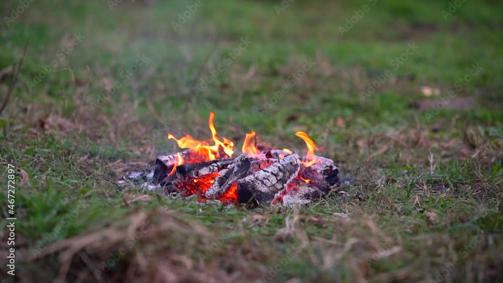 A bonfire in the forest on the grass, a stick hits the bonfire and sparks fly. Slow motion A bonfire in the forest on the grass, a stick hits the bonfire and sparks fly. Slow motion