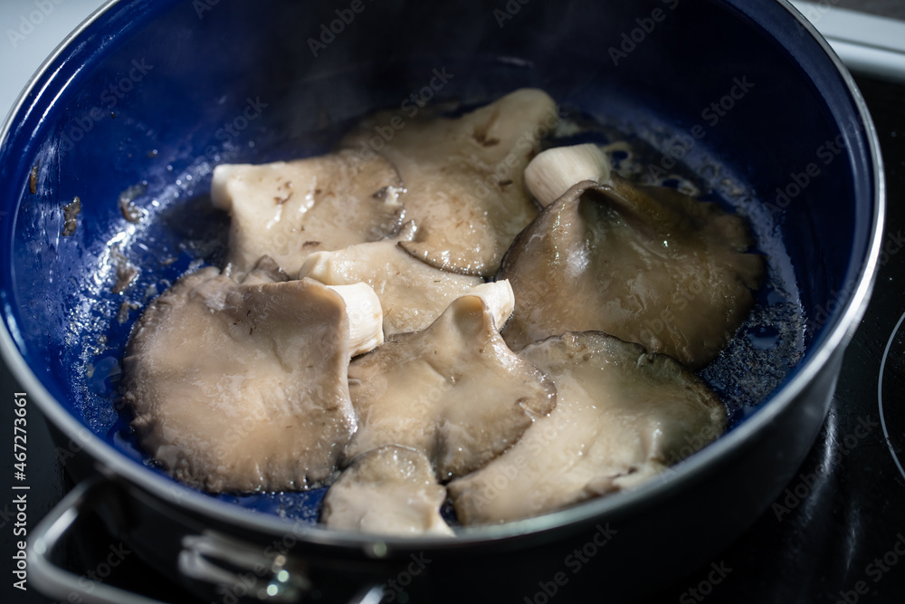 Oyster Mushroom Pleurotus ostreatus close up cooking in the fry pan Stock Photo Adobe Stock