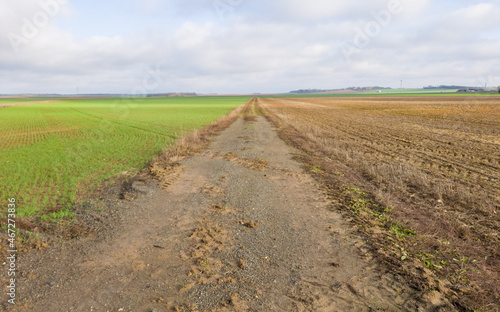 road in the field