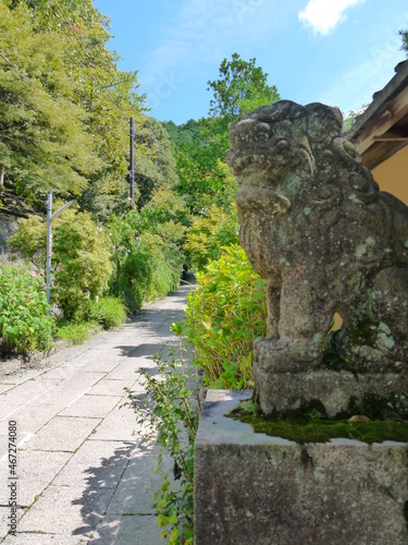 狛犬と参道