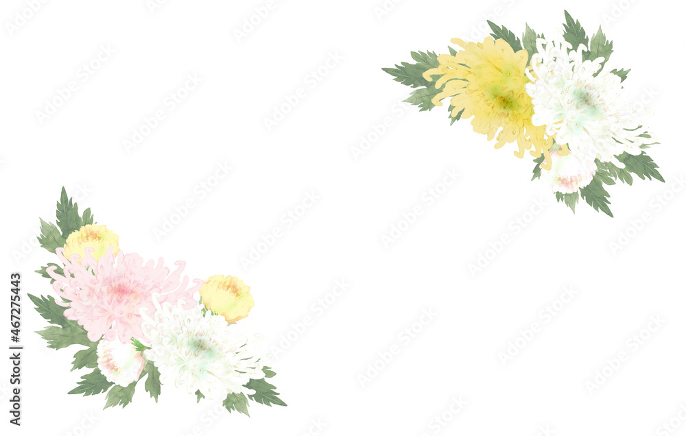水彩の菊の花のフレーム