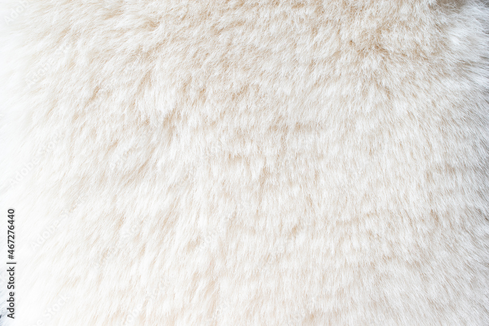 Close-up of white fur texture used for beautiful abstract white fur background design. Close-up of white fur texture used for beautiful abstract white fur background design.