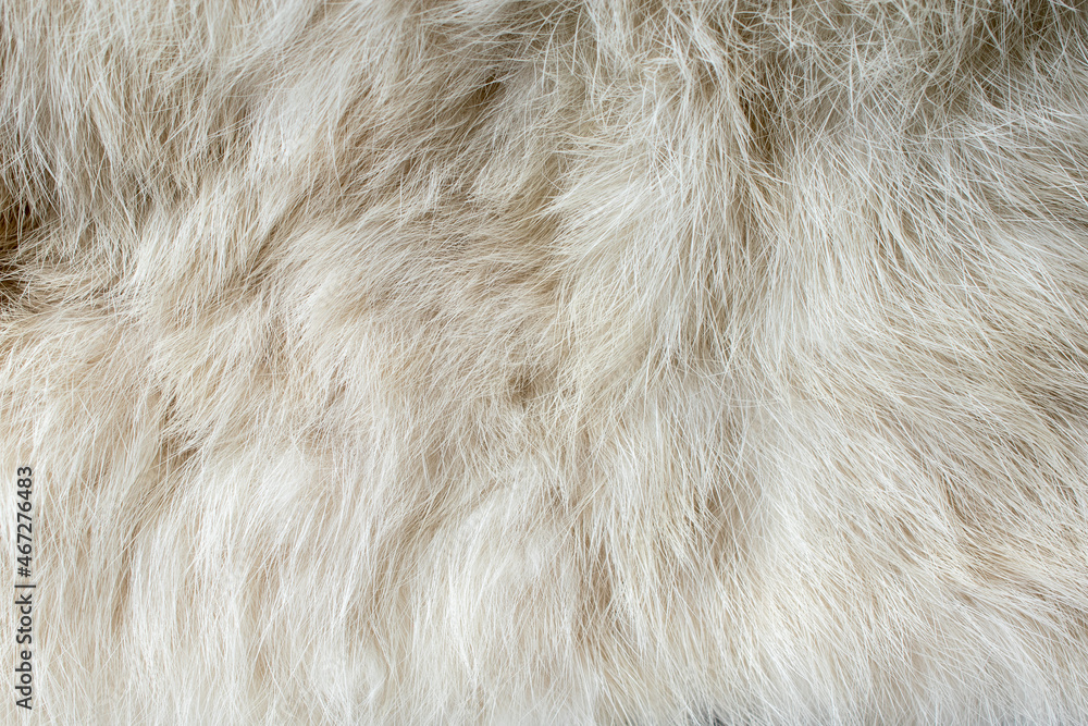 Close-up of fluffy white fur texture used for beautiful abstract background design. Close-up of fluffy white fur texture used for beautiful abstract background design.