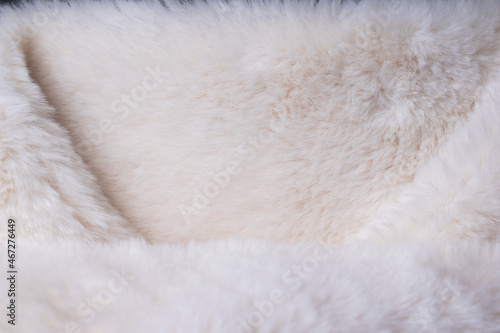 Close-up of white fur texture used for beautiful abstract white fur background design.