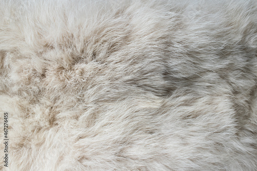 Close-up of soft white fur texture used for beautiful abstract background design.