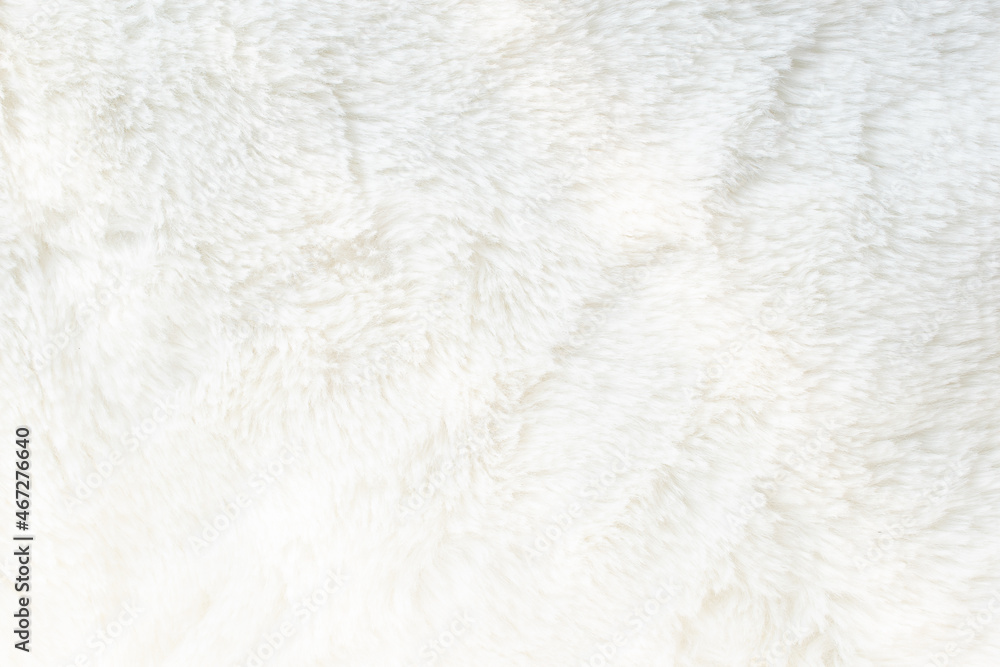 White wool texture with close-up sunlight shadow used for beautiful elegant abstract fur background design. White wool texture with close-up sunlight shadow used for beautiful elegant abstract fur background design.