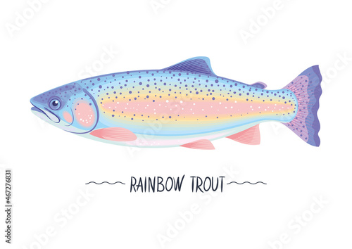 Rainbow trout cartoon colourfull vector icon, sign, simbol, object. Healthy delicious fresh trout fresh raw. Isolated on white. Design element for package, label, menu
