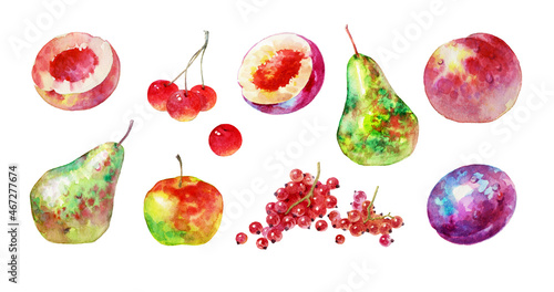 Fototapeta Naklejka Na Ścianę i Meble -  A set of colorful watercolor fruits isolated on a white background. A collection of ripe fruits and berries for design and printing.