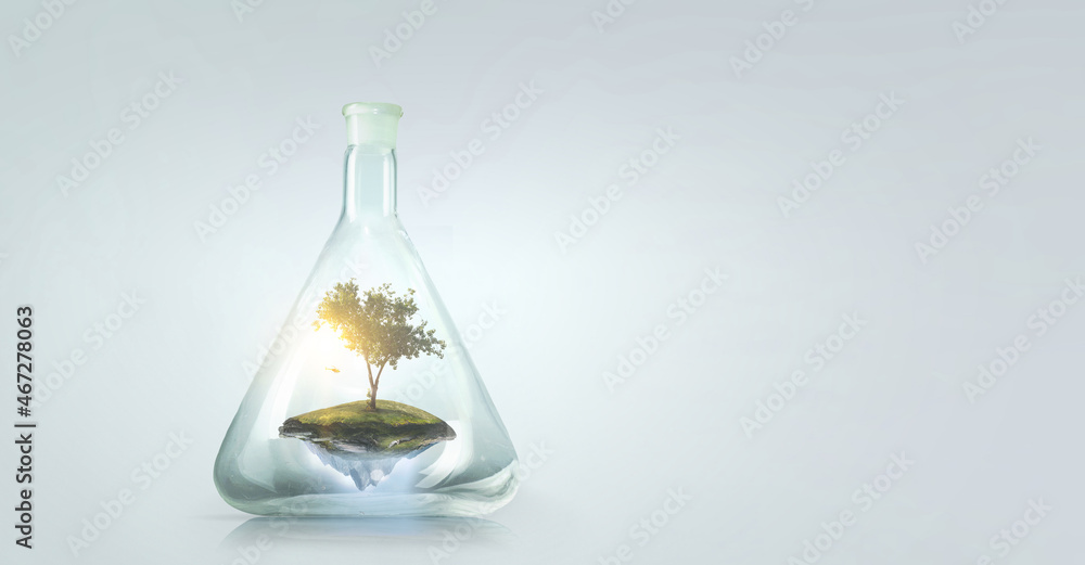 Tree growing inside clear glass bottle . Mixed media Tree growing inside clear glass bottle . Mixed media
