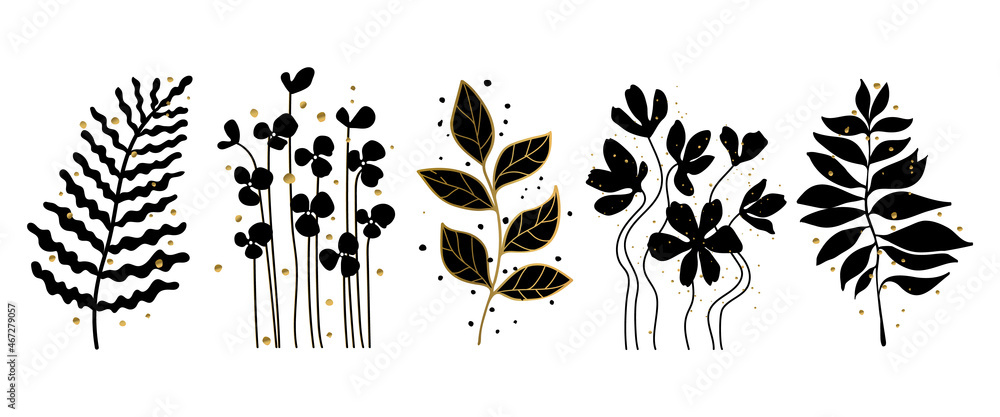 Set of leaves silhouette of beautiful plants, leaves, plant design with golden splash elements
