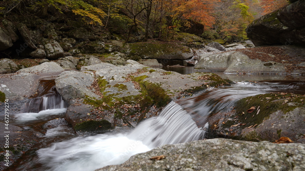 Fototapeta premium Beautiful autumn valley scenery in Korea
