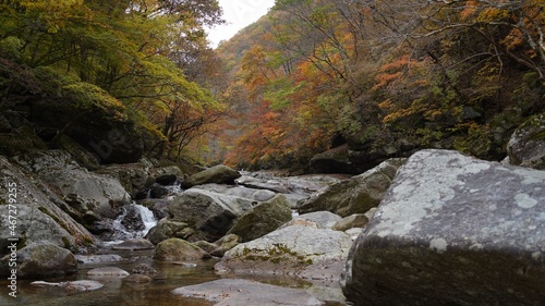 Beautiful autumn valley scenery in Korea © Shin sangwoon