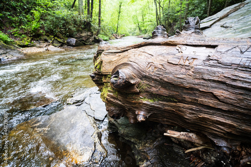 Looking Glass Falls Pisgah National Forest North Carolina