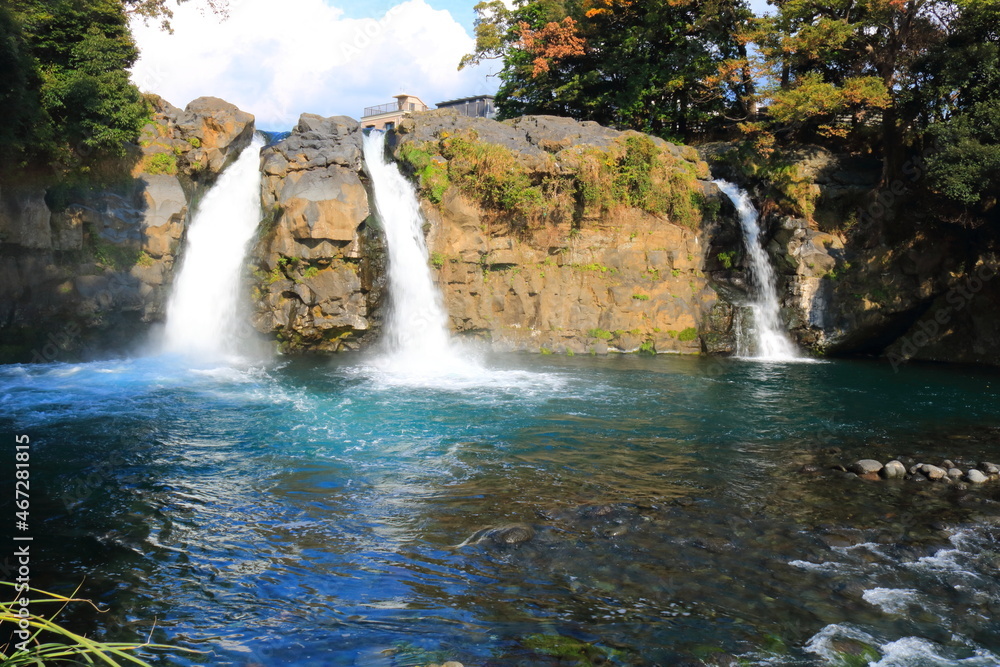 Obraz premium 静岡県裾野市五竜の滝
