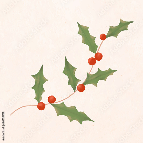 Christmas sticker, holly vector, hand drawn illustration