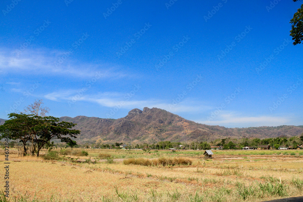 Long droughts cause agricultural areas to experience drought, some plants die and harvest failures due to climate change Long droughts cause agricultural areas to experience drought, some plants die and harvest failures due to climate change