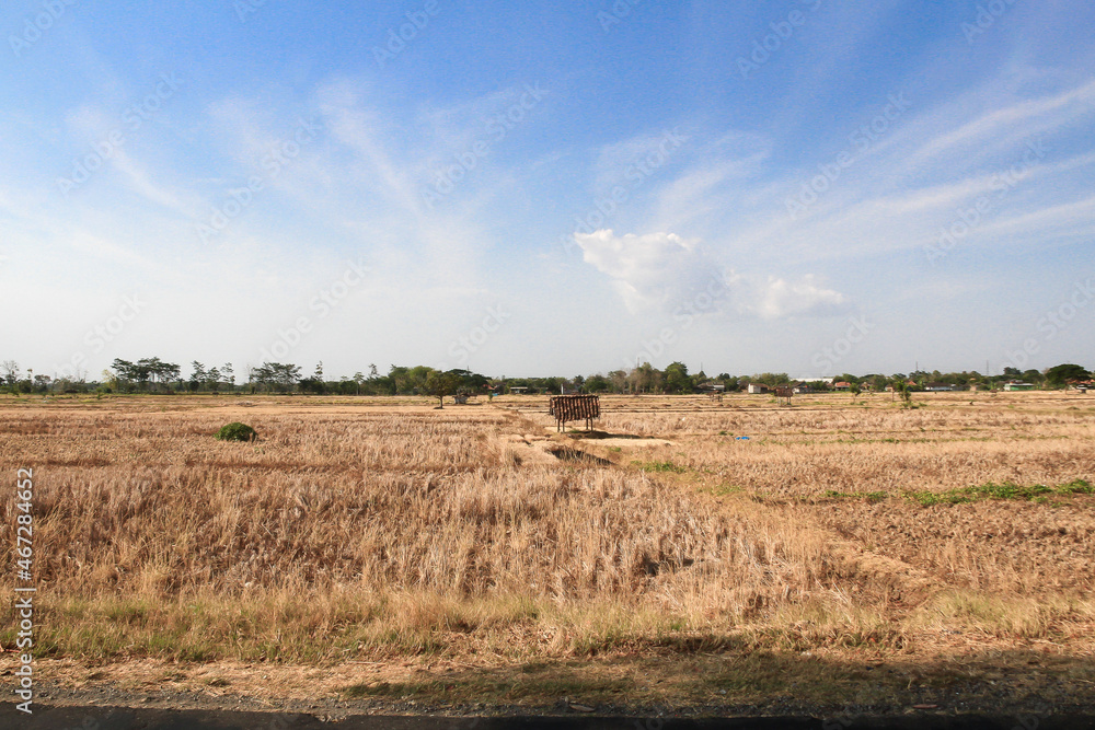 Long droughts cause agricultural areas to experience drought, some plants die and harvest failures due to climate change Long droughts cause agricultural areas to experience drought, some plants die and harvest failures due to climate change