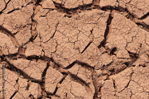 Seamless texture of cracked dry steppe land.
