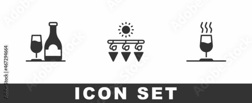 Set Wine bottle with glass, Drying grapes and tasting, degustation icon. Vector