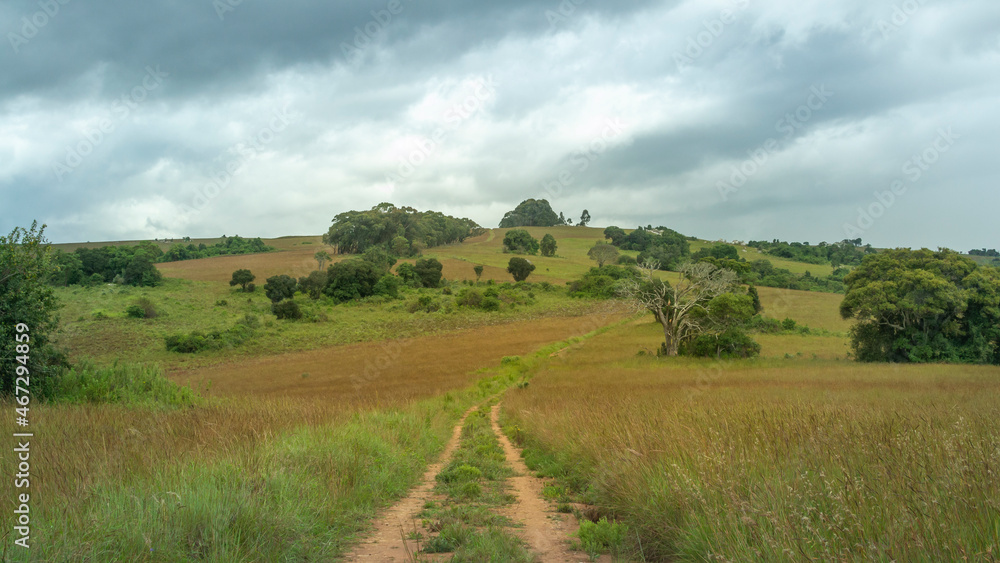4x4 Off road dirt track in Nyika National park in Malawi, Africa