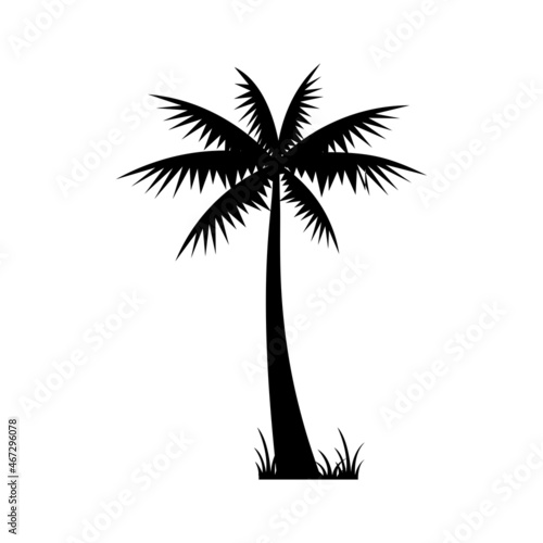 Coconut Palm Tree Icon